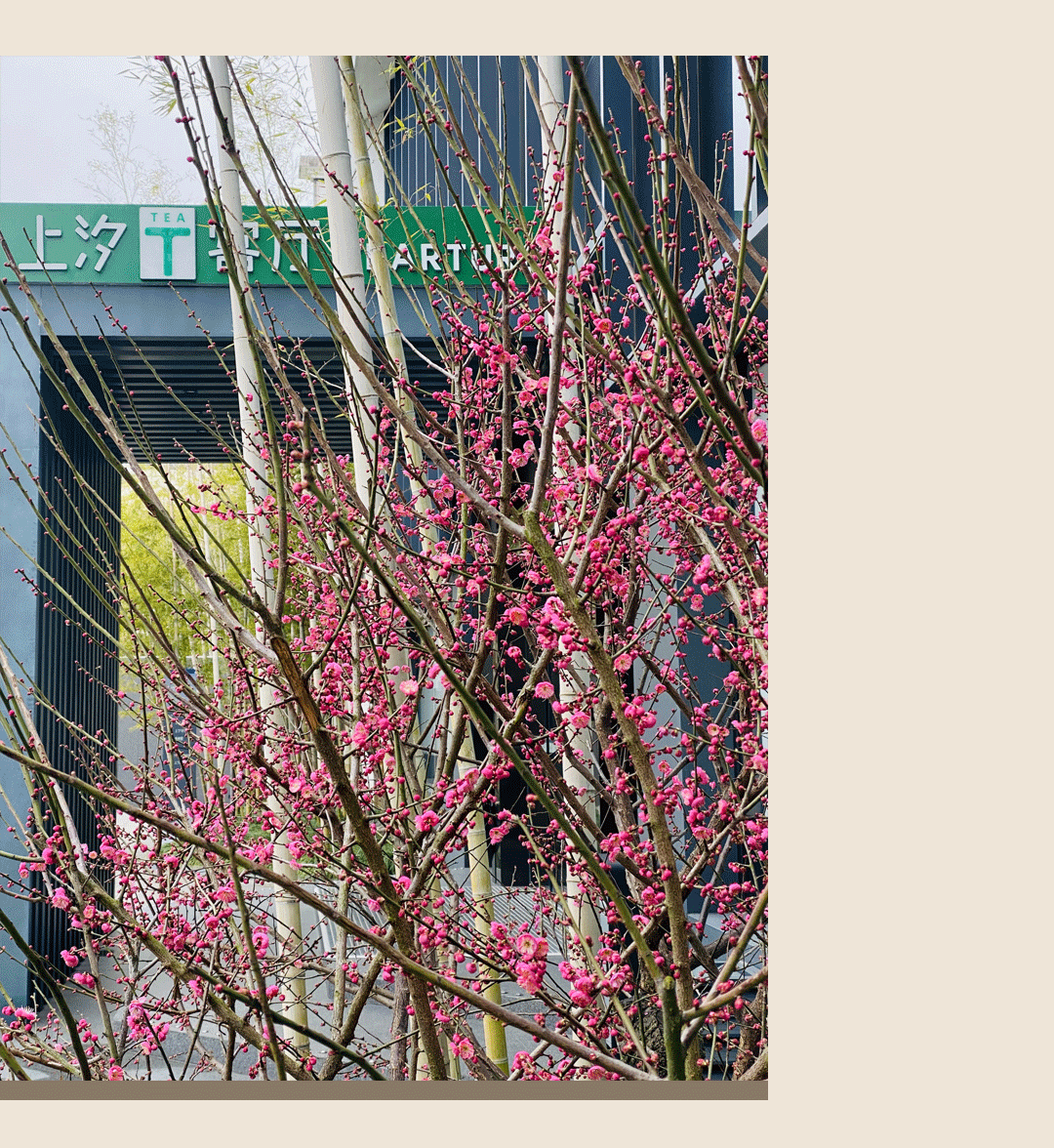 下午茶_18.png